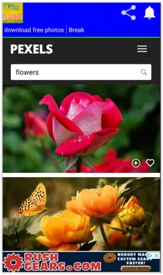 Download free photos android App screenshot 6